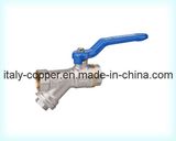 Brass Forged Strainer Ball Valve (AV1047)