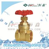 Zf Brass Flood Gate Valve/Brass Fitting