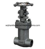 Forged Steel Bellows Seal Gate Valves