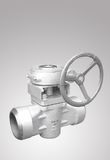 Self-Lubricated Plug Valve