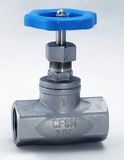 Globe Valve