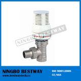 Brass Thermostatic Radiator Valve (BW-R01)