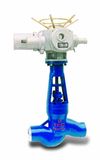 Power Station Globe Valve (C02)