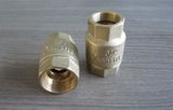 Brass Check Valve