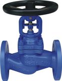 Professional Bellow Globe Valve 