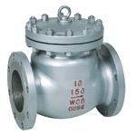 Check Valve