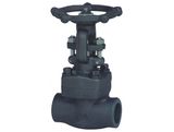 Forged Steel Gate Valve