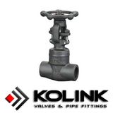 Forged Globe Valve