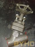 Forged Steel Y Type Globe Valve