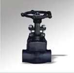 Forged Steel Internal Thread Socket Welded Globe Valve (DTV-J001)