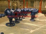 DIN 3356 Cast Iron Globe Valve