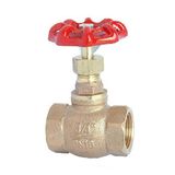 Bronze Globe Valve