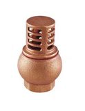 Bronze Foot Valve (4305)