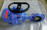 Electric Butterfly Valve (CBF01ASE-AS/E-CB4500X7)