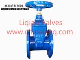 DIN Non Rising Stem Gate Valve F5