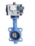 Smart Pneumatic Butterfly Valve (D671X)