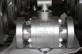 Forged Trunnion Flange Ball Valve