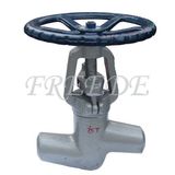 Power Station Globe Valve