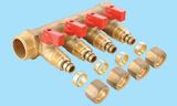 Brass Manifold (011010QCC)