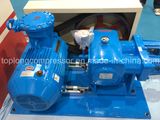 Cryogenic Liquid Cylinder Filling Pump (Svnb100-200/200)