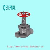 Globe Valve, Stop Check Bolted Bonnet Valve Body