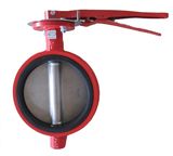 Centre Lined Wafer Butterfly Valve Manufacturer