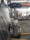 Stainless Steel Gate Valve 10