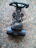 Female Thread Forged Steel Gate Valve