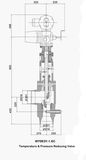 Wy963y-1.6c Temperature & Pressure Reducing Valve