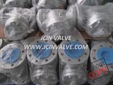 Swing Check Valve with Low Pressure in Packing