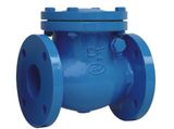 Check Valve Swing Type