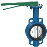 Wafer Butterfly Valve (D71X)