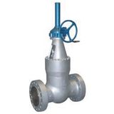 Pressure-Seal Gate Valve