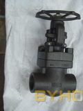 API 602 Forged Steel Threaded Gate Valve