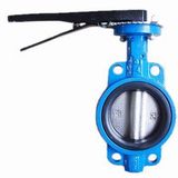 Cast Iron Butterfly Valve Level