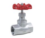 Stainless Steel Globe Valve Female Thread