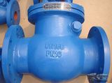 DIN Cast Iron Swing Check Valve (H44H)