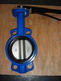 Cast Iron Wafer Butterfly Valve (04)