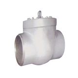 Pressure Sealing Swing Check Valve