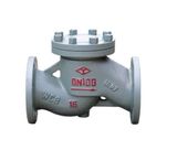 Lifting Check Valve