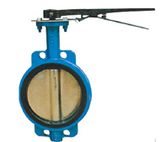 Butterfly Valve