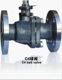 Titanium Valve