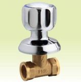 Cooper (brass) Chrome Stop Valve