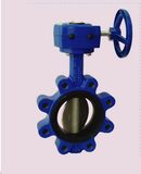 Butterfly Valve -3