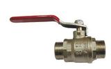 Brass Valve (XC-2003)