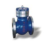 Swing Check Valve