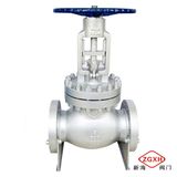 API Globe Valve