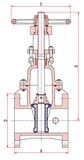 OSY Type Gate Valves (250PSI)