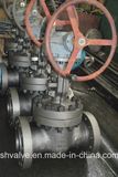 Cast Stainless Steel Gate Valve (Z41W)