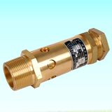 Atlas Copco Air Compressor Safety Valve Pressure Safety Valve